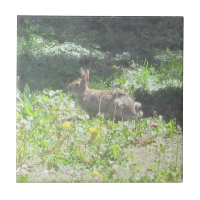 Carreau Tuile de Bunny sauvage (Devant)