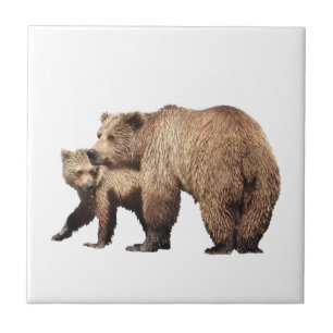 Carreau Tuile de céramique de grizzli et d'ourson