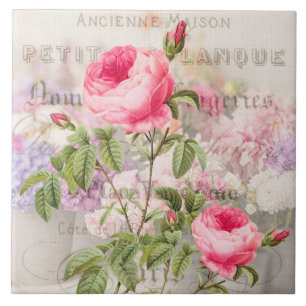 Carreau Tuile de céramique Redoute Pink Roses