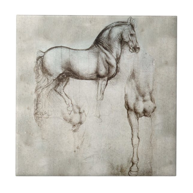 Carreau Tuile de cheval de da Vinci (Devant)