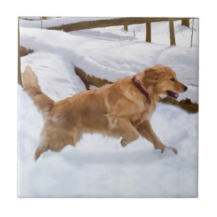 Carreau Tuile de chien de golden retriever