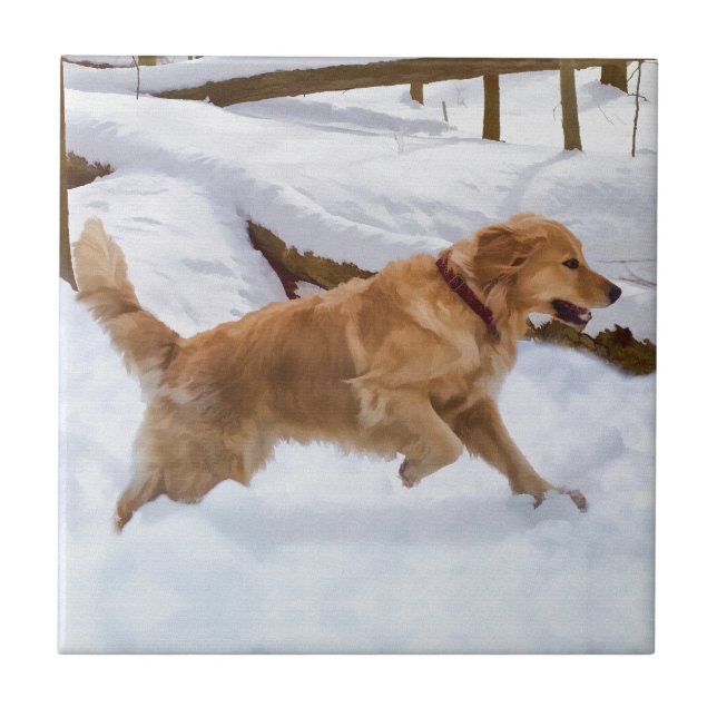 Carreau Tuile de chien de golden retriever (Devant)