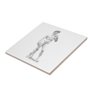 Carreau Tuile de David