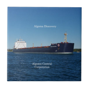 Carreau Tuile de découverte Algoma