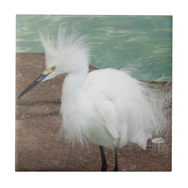 Carreau Tuile de hérons de Milou (Devant)