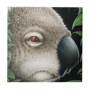 Carreau Tuile de koala