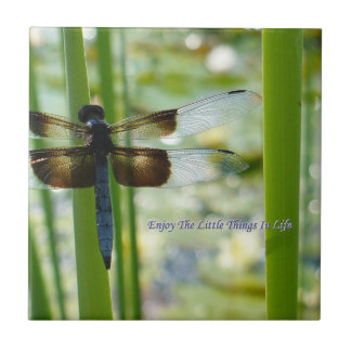 Carreau Tuile de libellule