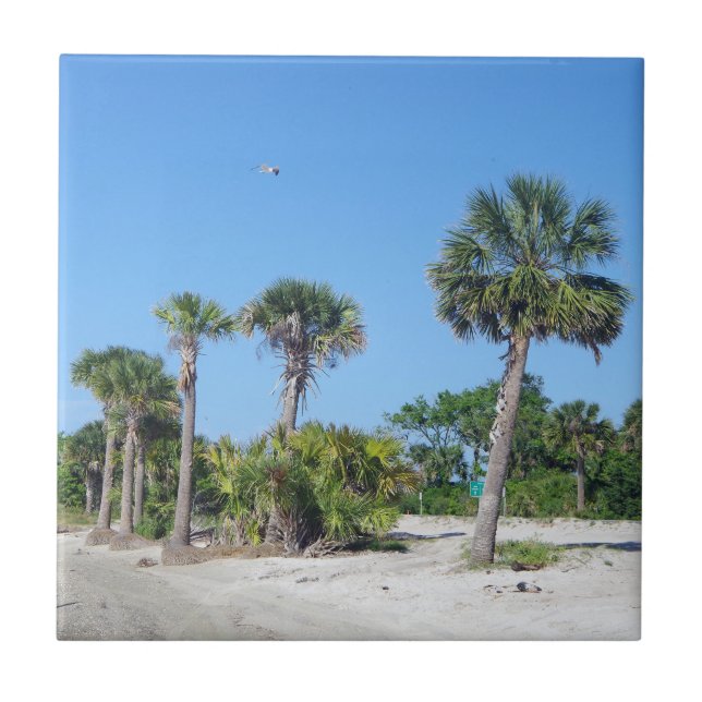 Carreau Tuile de palmiers (Devant)