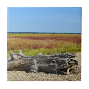 Carreau Tuile de plage Hammonasset