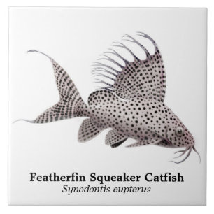Carreau Tuile de poisson-chat de Synodontis Eupterus
