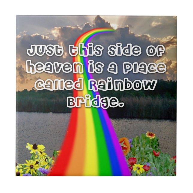 Carreau Tuile de pont en arc-en-ciel (Devant)