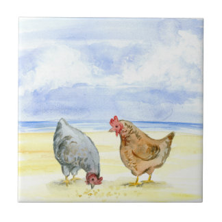 CARREAU TUILE DE POULET DE FERME, BELLE CONSOMMATION DE