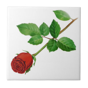 Carreau Tuile de rose rouge