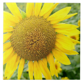 Carreau Tuile de tournesol en céramique 6 pouces