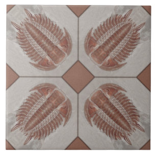 Carreau Tuile de Trilobite