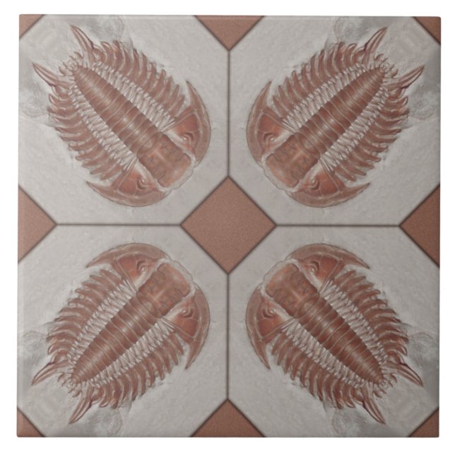 Carreau Tuile de Trilobite (Devant)