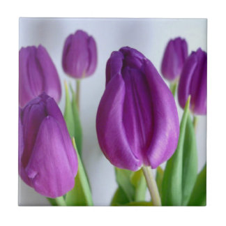 Carreau Tuile de tulipe violette
