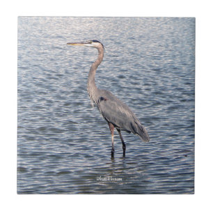 Carreau Tuile d'eau de Blue Heron