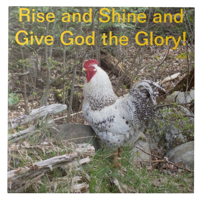 Carreau Tuile décorative de coq (Devant)