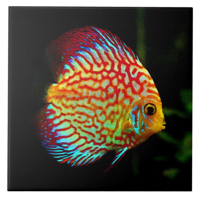Carreau Tuile décorative de poissons d'aquarium de disque (Devant)