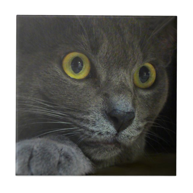 Carreau Tuile décorative d'intensité (Devant)