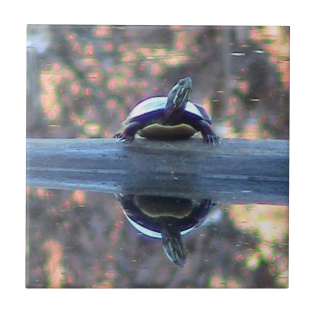 Carreau Tuile décorative reflétée par tortue (Devant)