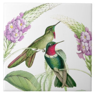 Carreau Tuile des colibris de Goulds
