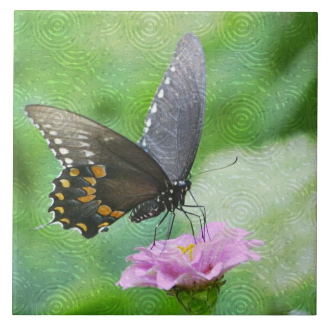 Carreau Tuile d'été papillon (Devant)