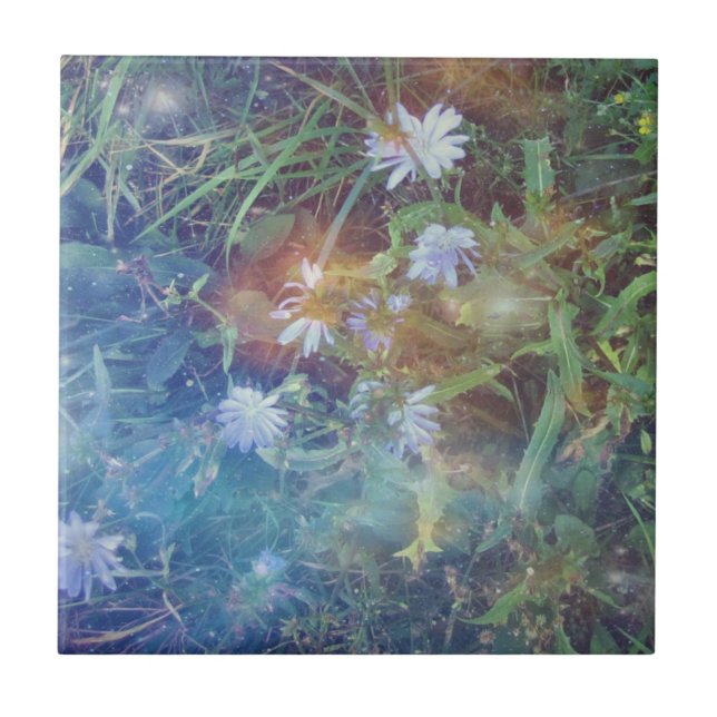 Carreau Tuile d'herbe de chicorée (Devant)