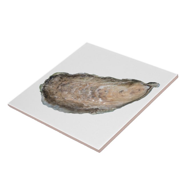 Carreau Tuile d'huître - blanc de la conception D (Côté)