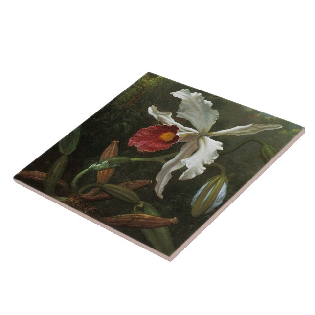 Carreau Tuile d'orchidée de Cattleya (Côté)