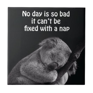 Carreau tuile d'ours de koala
