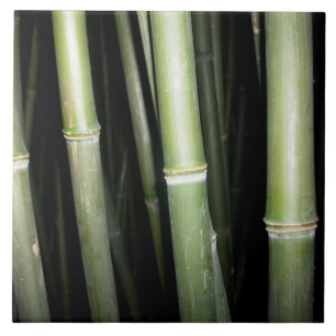 Carreau Tuile en bambou de mur de conception