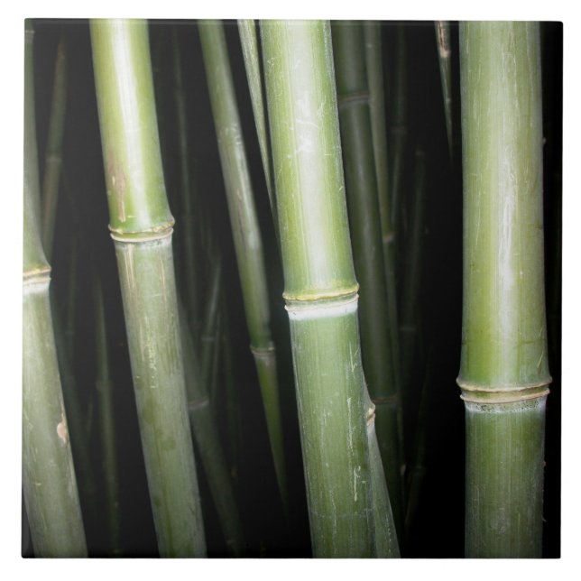 Carreau Tuile en bambou de mur de conception (Devant)