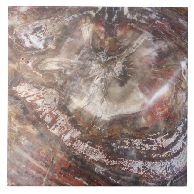 Carreau Tuile en bois Petrified (Devant)