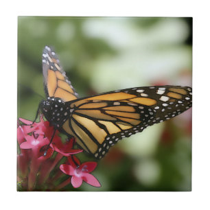 Carreau Tuile en céramique à fleurs de papillon