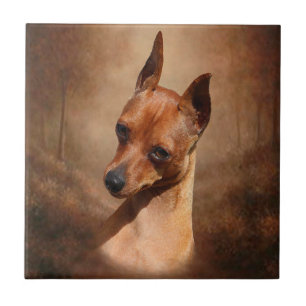 Carreau Tuile en céramique de photo de Pinscher miniature