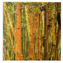 Tuile en céramique en bambou de l'art 6 x 6