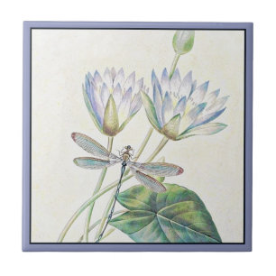 Carreau Tuile en céramique Lotus et dragonfly