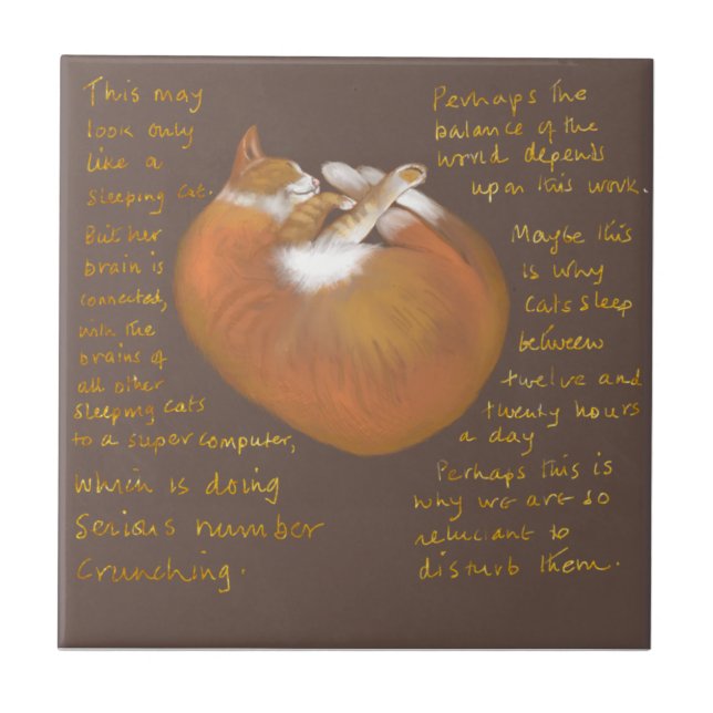 Carreau Tuile en céramique montrant un chat endormi (Devant)