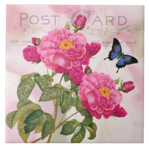 Carreau Tuile en céramique Redoute French Rose Roses