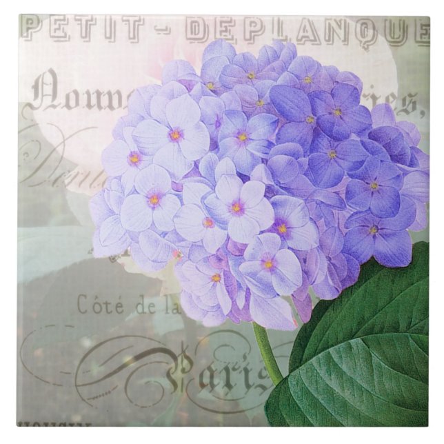 Carreau Tuile en céramique Redoute Hydrangea (Devant)