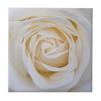 Carreau Tuile en céramique rose blanche