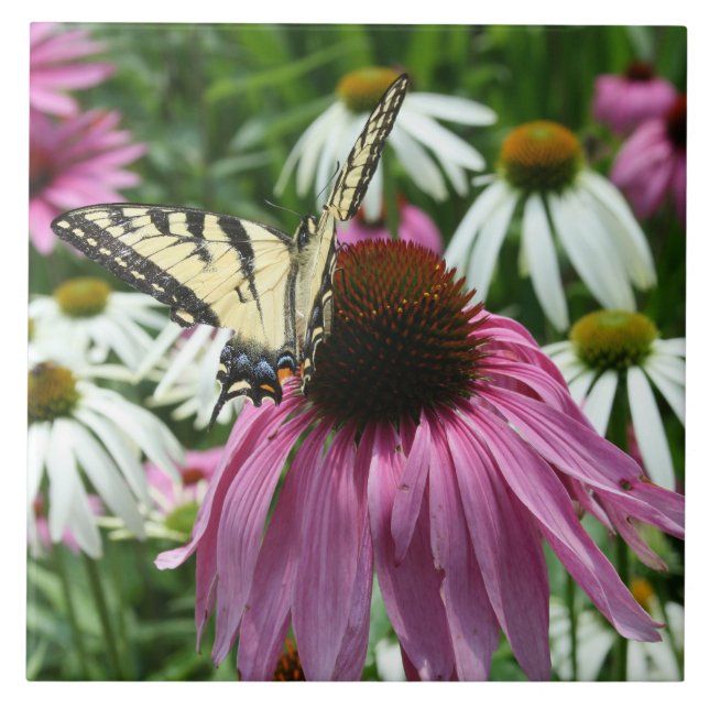 Carreau Tuile en céramique Tiger Swallowtail Butterfly (Devant)