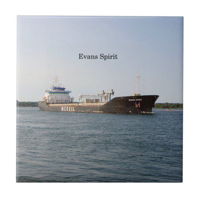 Carreau Tuile Evans Spirit (Devant)