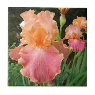 Carreau Tuile florale d'art d'iris de pêche de BA