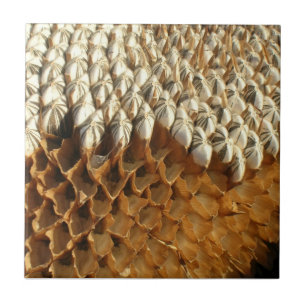 Carreau Tuile - graines de tournesol