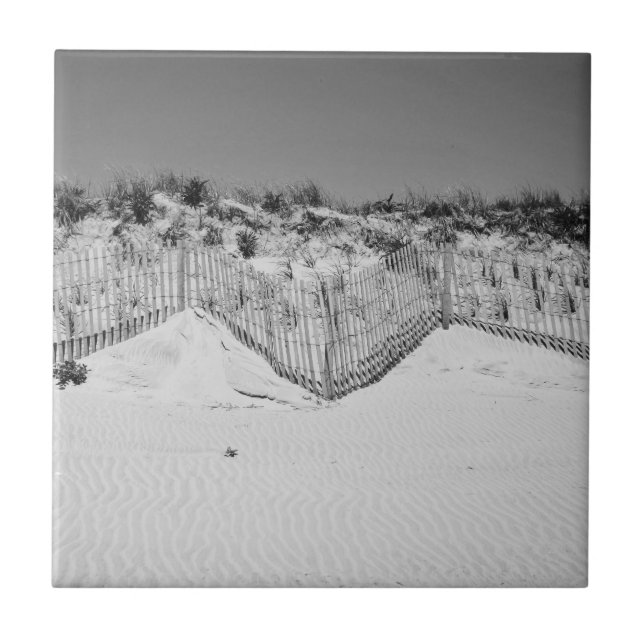Carreau Tuile noire et blanche de dunes de M (Devant)