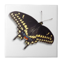 Tuile papillon - Black Swallowtail