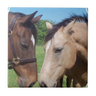 Carreau Tuile Romance de cheval